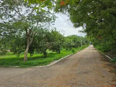 10800.0 sqft Residential Plot