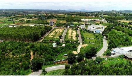 Land / Plot in Electronic City Bangalore Land / Plot in Electronic City Bangalore