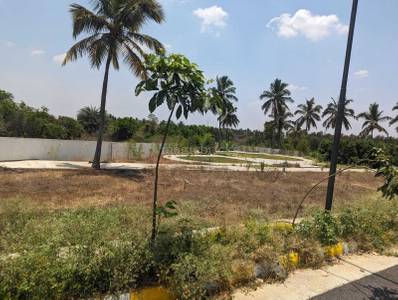 Land / Plot in Whitefield Bangalore Land / Plot in Whitefield Bangalore