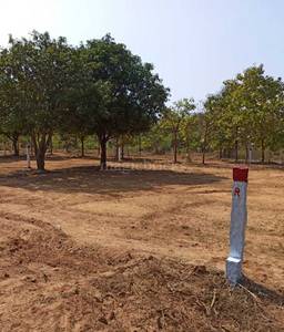 Land / Plot in Shamshabad Hyderabad