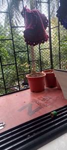 1BHK Multistorey Apartment for Resale in Dhoop Chhaon CHS at Four Bungalows 1BHK Multistorey Apartment for Resale in Dhoop Chhaon CHS at Four Bungalows