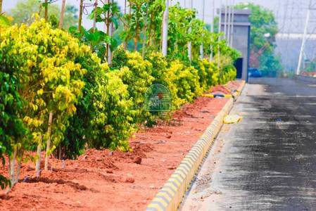 Land / Plot in Kollur Hyderabad Land / Plot in Kollur Hyderabad