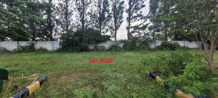 Land / Plot in Sarjapur Bangalore Land / Plot in Sarjapur Bangalore