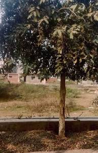 Land / Plot in Sector 151, Noida Express Way Noida Land / Plot in Sector 151, Noida Express Way Noida