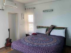 Brigade exotica rent new arrivals