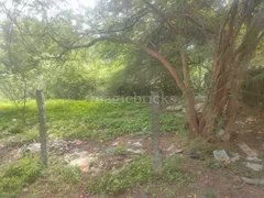 2010.0 sqft Residential Plot