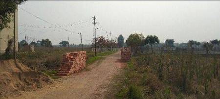 Land / Plot in Joka Kolkata