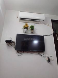 2BHK Builder Floor Apartment for Resale in Sector 24 Rohini