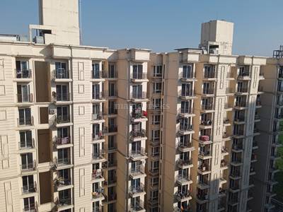 2BHK Multistorey Apartment for Resale in Signature Global The Millennia at Garauli Khurd, Sector 37D, Delhi Gurgaon Expressway 2BHK Multistorey Apartment for Resale in Signature Global The Millennia at Garauli Khurd, Sector 37D, Delhi Gurgaon Expressway
