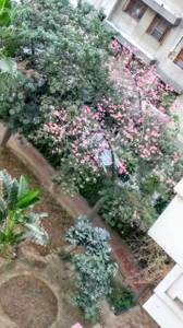 3BHK Multistorey Apartment for New Property in M3M Crown Phase 1 at Sector 111 3BHK Multistorey Apartment for New Property in M3M Crown Phase 1 at Sector 111