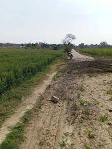 Agriculture Land for Sale in Narela, New Delhi