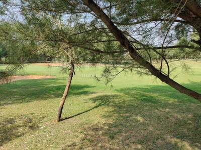 Land / Plot in Sarjapura Attibele Road Bangalore Land / Plot in Sarjapura Attibele Road Bangalore