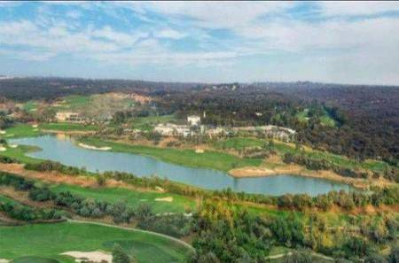 4BHK Multistorey Apartment for New Property in DLF Camellias at Golf Course Road 4BHK Multistorey Apartment for New Property in DLF Camellias at Golf Course Road