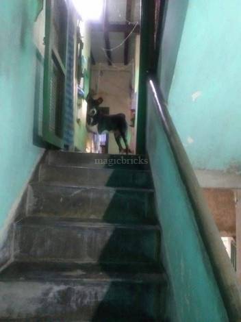 House for Sale in Raja Santosh Road, Kolkata 19+ Independent