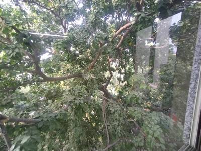 2BHK Multistorey Apartment for Rent in Hari Kunj at Hari Nagar 2BHK Multistorey Apartment for Rent in Hari Kunj at Hari Nagar