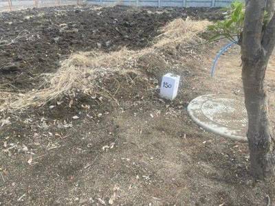 Land / Plot in Mokila Hyderabad Land / Plot in Mokila Hyderabad