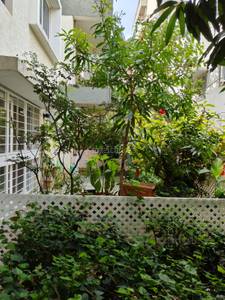 Buy  3 BHK  Villa in  Sarjapur Road   Bangalore Buy  3 BHK  Villa in  Sarjapur Road   Bangalore