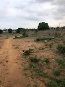 4194.0 sqft Residential Plot