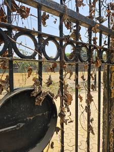 Land / Plot in Sector 1 Chedda Nagar Mumbai