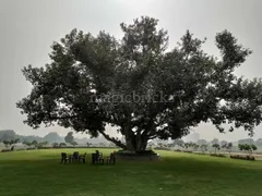 1350.0 sqft Residential Plot