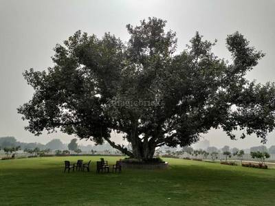 Land / Plot in Sector 4 Sohna Gurgaon Land / Plot in Sector 4 Sohna Gurgaon