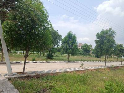 Land / Plot in Shadnagar Hyderabad Land / Plot in Shadnagar Hyderabad