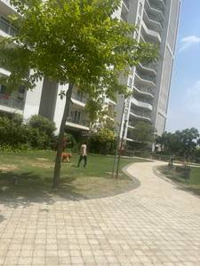 4BHK Multistorey Apartment for Resale in DLF Crest at Sector 54 4BHK Multistorey Apartment for Resale in DLF Crest at Sector 54