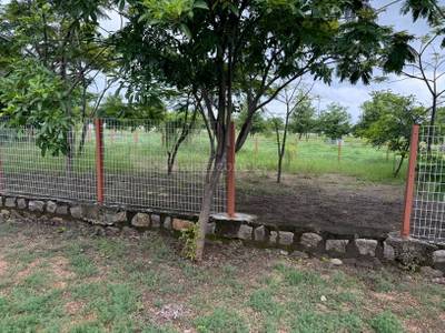 Land / Plot in Mokila Hyderabad Land / Plot in Mokila Hyderabad