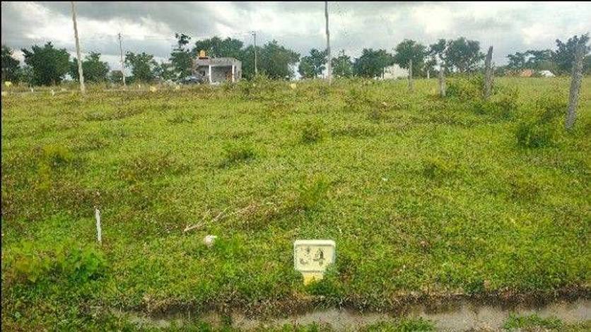 Vacant Property Should I Buy The Vacant Lot Next To My House