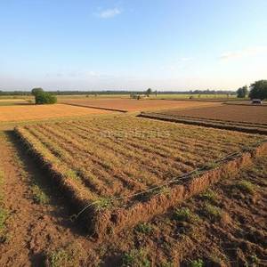 Residential Plot for Resale in Vasant Kunj Residential Plot for Resale in Vasant Kunj