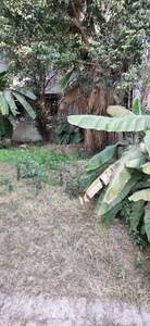  Residential Plot for Resale in B Block Sector 50