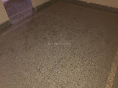 1BHK Residential House for Rent in Chattarpur 1BHK Residential House for Rent in Chattarpur