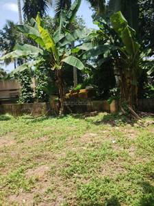6 Cent Residential Plot & Land for Sale in Nalanchira,Trivandrum