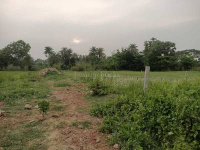Land / Plot in Joka Kolkata