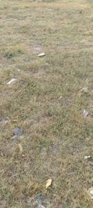 Land / Plot in Sector 46 Gurgaon