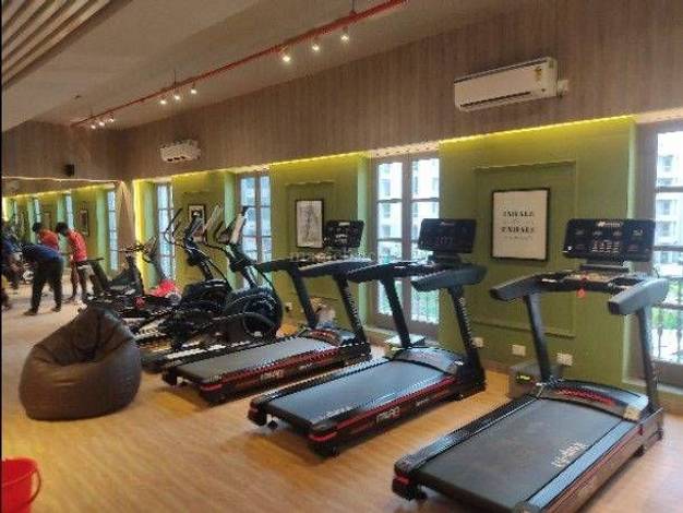 Exercise Equipment Treadmill Shop In Barasat Body Fit Massager