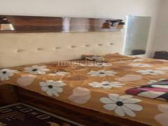3BHK Multistorey Apartment for Rent in Sector 16C - Photo 5