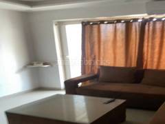 3BHK Multistorey Apartment for Rent in Sector 16C - Photo 3