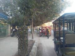 3BHK Multistorey Apartment for Resale in - Photo 5