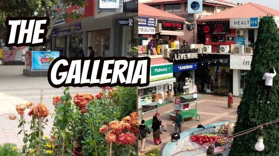 Commercial Shop 425 Sq-ft For Rent in DLF Galleria, DLF Phase 4, Gurgaon