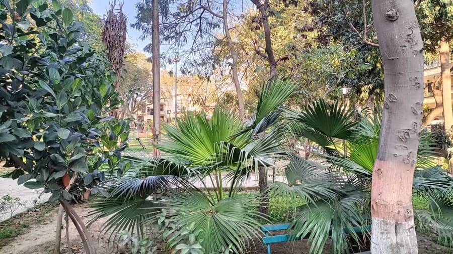 160 Sqyrd Plot For Sale in Sector 4 Urban Estate, Gurgaon