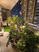 3BHK Multistorey Apartment for Rent in M3M Golf Estate at Sector 65 - Photo 4