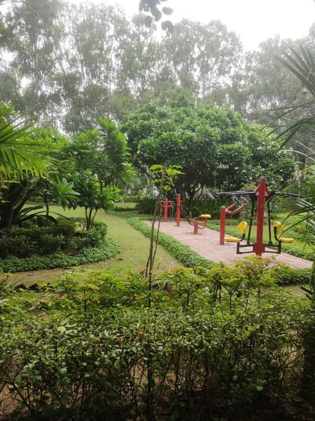 402 Sqyrd Plot For Sale in DLF City Plot Phase 2, DLF Phase 2, Gurgaon