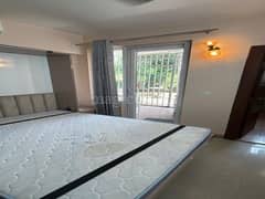 4BHK Multistorey Apartment for Rent in Emaar Mgf Emerald Floors at Sector 65 - Photo 7