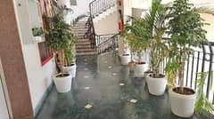 3BHK Multistorey Apartment for Resale in Apex Athena at Sector 75 - Photo 13