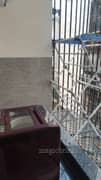 3BHK Multistorey Apartment for Rent in RWA Flats at Block G Saket - Photo 6