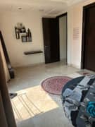 4BHK Builder Floor Apartment for Resale in New Friends Colony - Photo 10