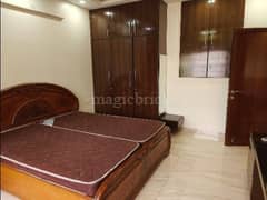 2BHK Multistorey Apartment for Rent in DDA Flats Vasant Kunj at Vasant Kunj - Photo 4