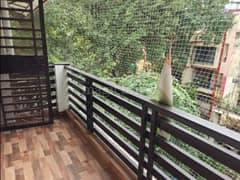 2BHK Multistorey Apartment for Rent in DDA Flats Vasant Kunj at Vasant Kunj - Photo 12
