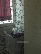 2BHK Multistorey Apartment for Rent in Block E Sector 61 - Photo 8